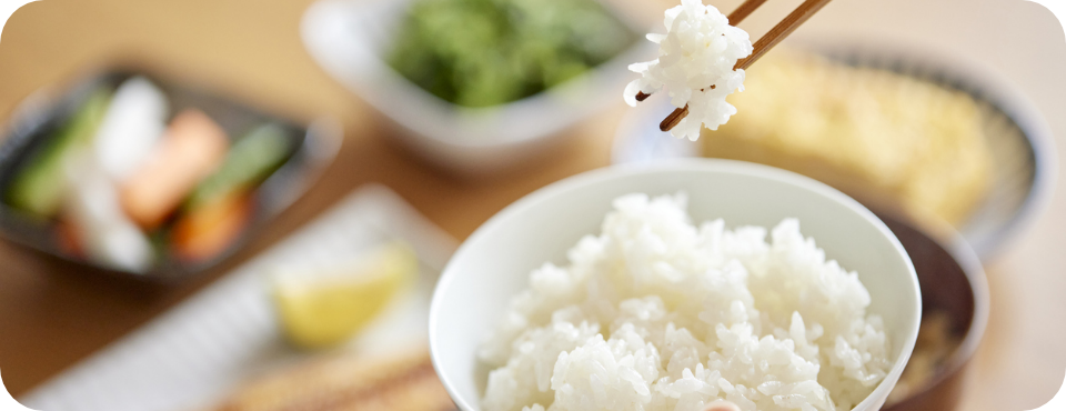 動画ギャラリー